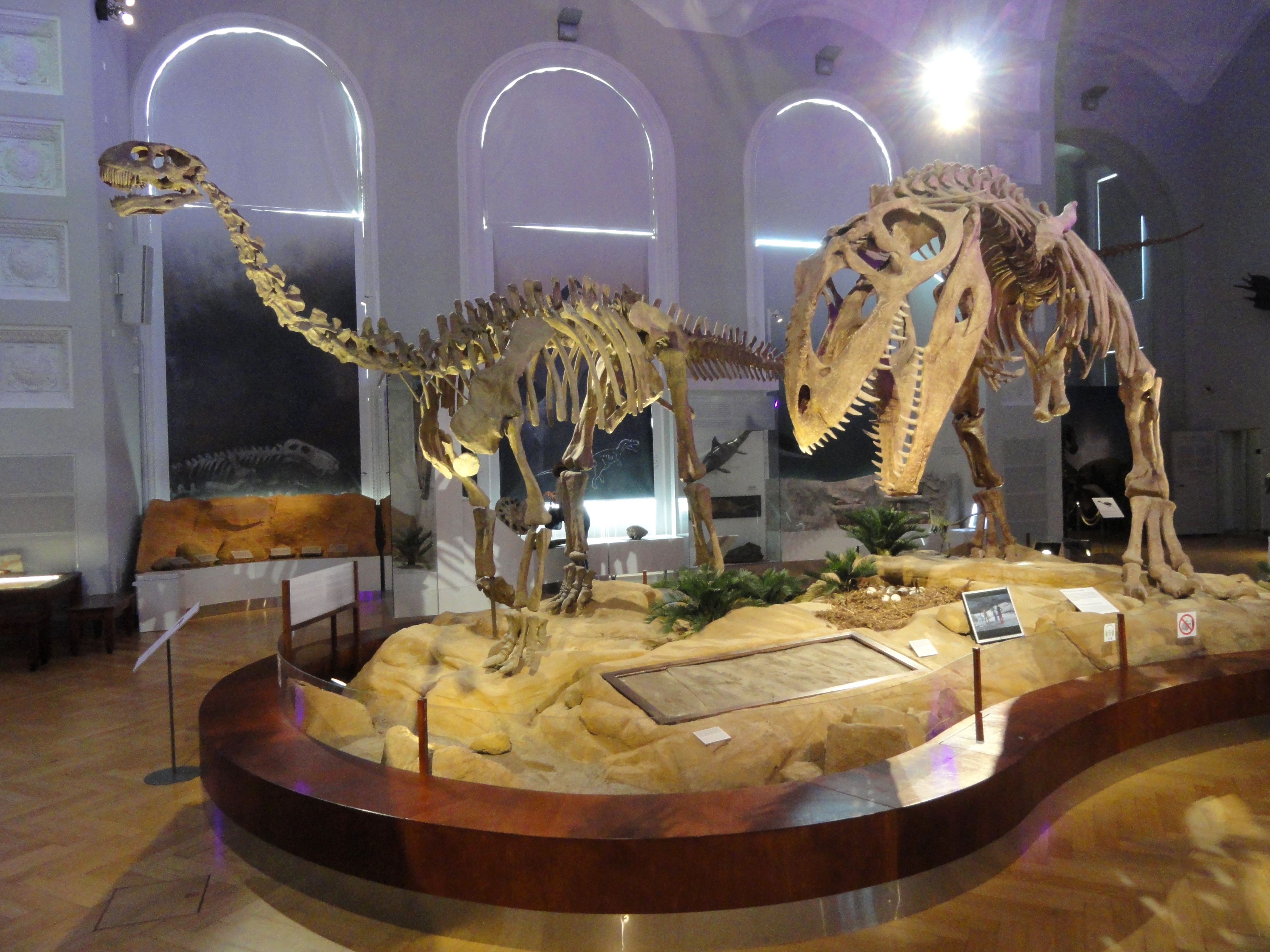 Natural History Museum of Helsinki